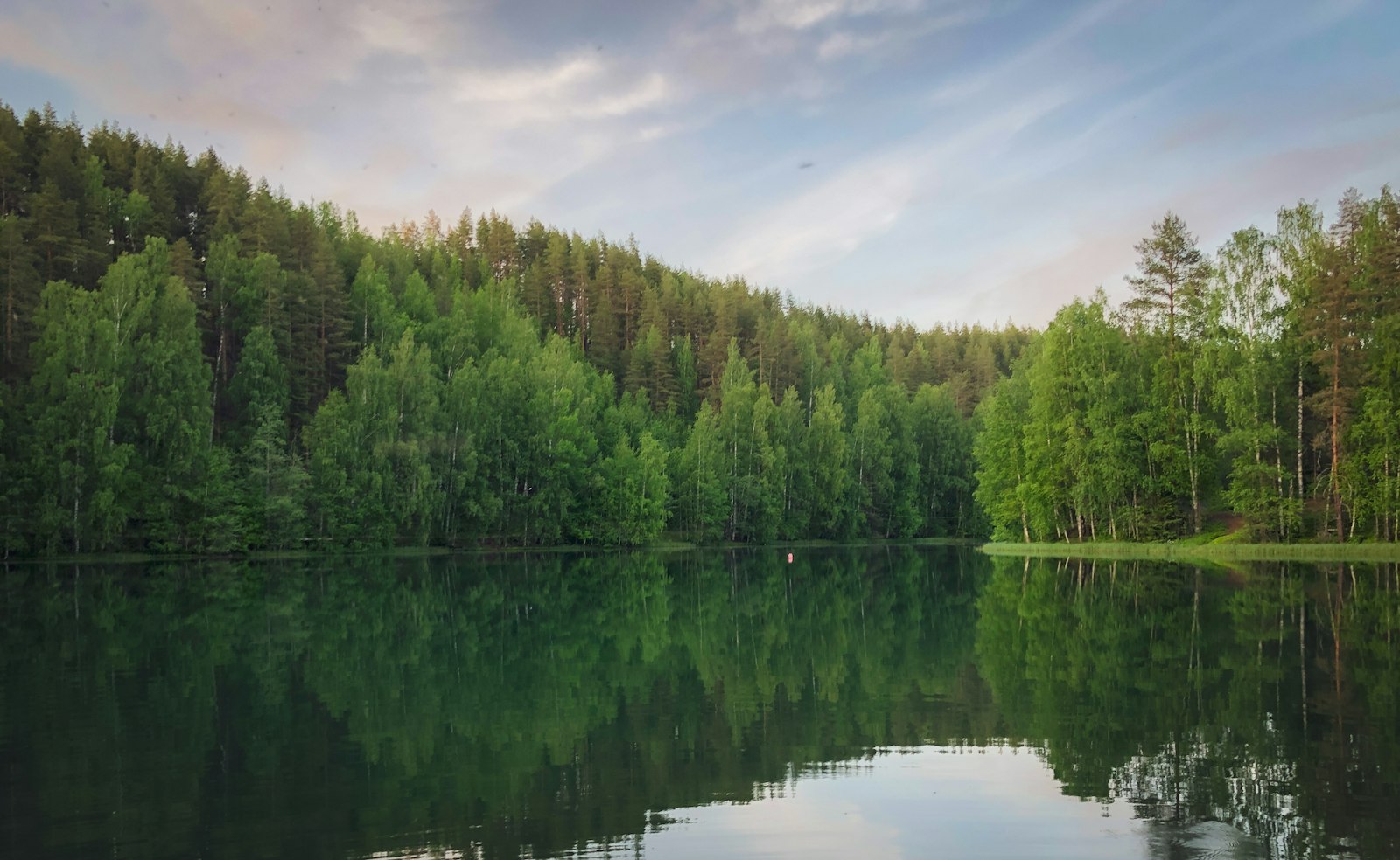 Kesäinen järvimaisema ja metsäranta Pohjois-Karjalassa